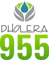 DHOLERA 955